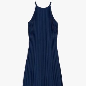 Express Navy Backless Pleated Dress